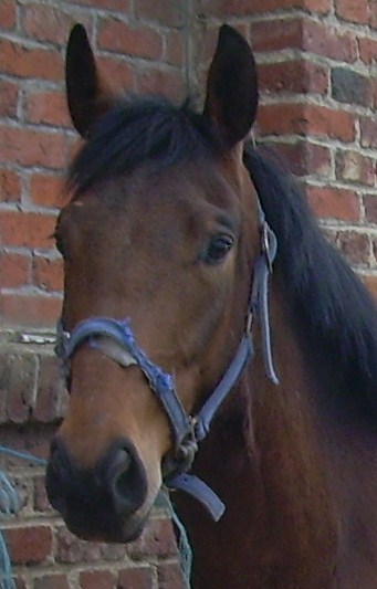 Photo de profil de volsecret