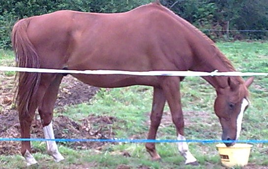 Photo de profil de vulcain56