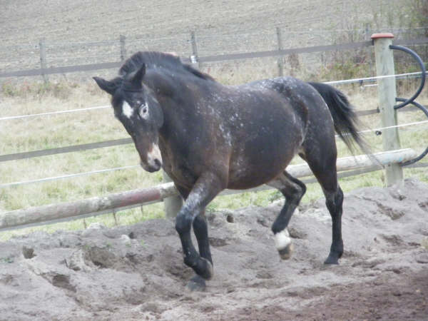 Photo de profil de x--haiti