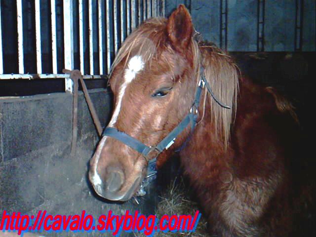 Photo de profil de x.3malloryx.3