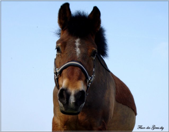 Photo de profil de xfluorx