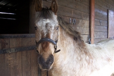 Photo de profil de xkenzo