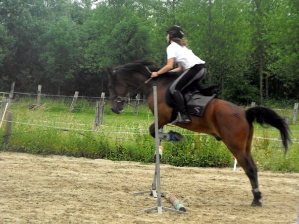 Photo de profil de xquirina