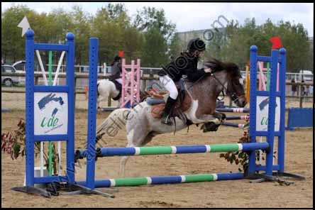 Photo de profil de xtani-oups