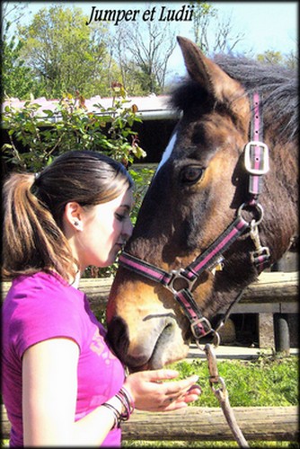 Photo de profil de yudii