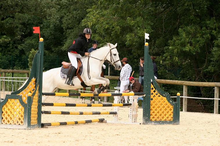 Photo de profil de ze-cavaliere-x