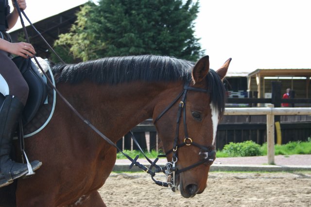 Photo de profil de zoe748