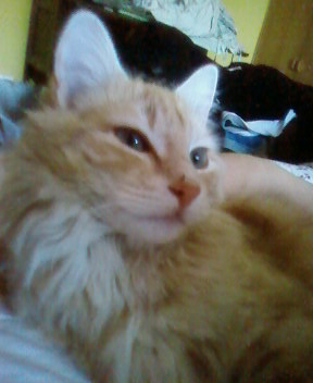 Photo de profil de **clinton**