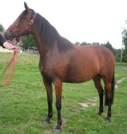 Photo de profil de abbye