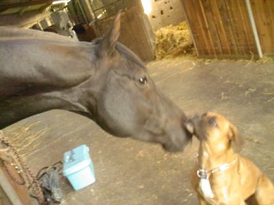 Photo de profil de abdaballe