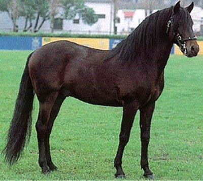 Photo de profil de alter-real