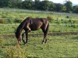 Photo de profil de amiral35
