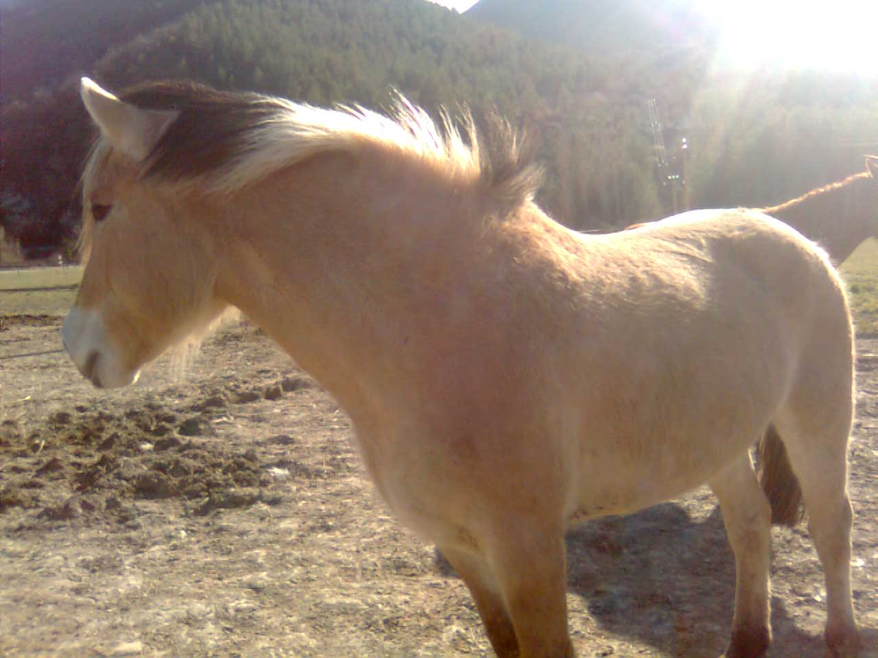 Photo de profil de anne-lor
