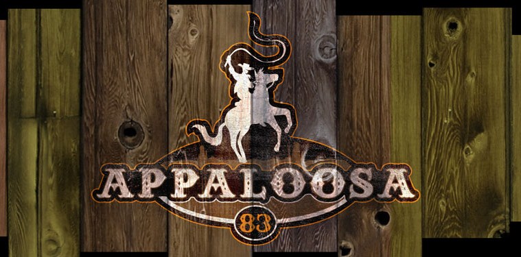 Photo de profil de appaloosa83