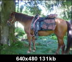 Photo de profil de artemis67