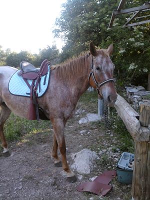 Photo de profil de beyla