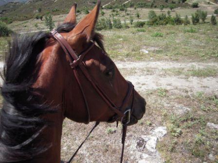 Photo de profil de biotine