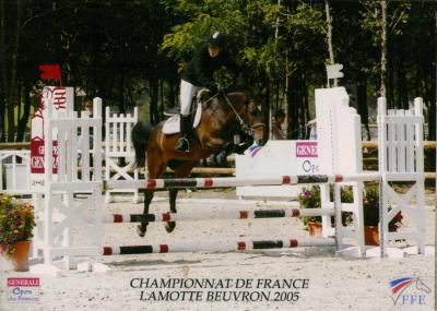 Photo de profil de bisno