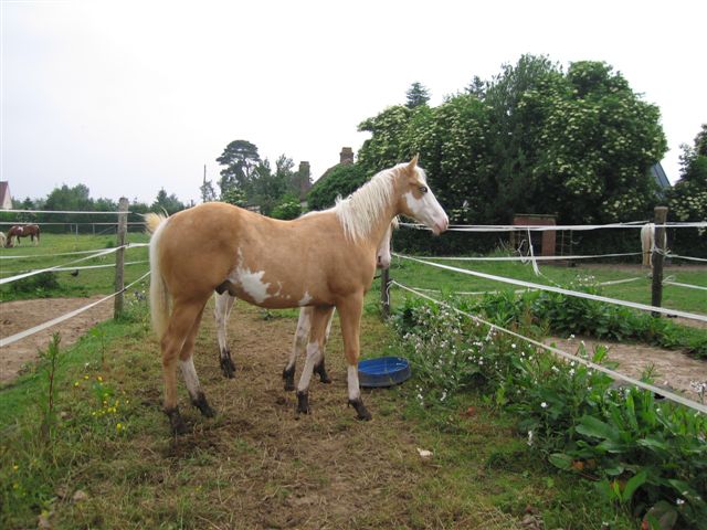 Photo de profil de boudoube