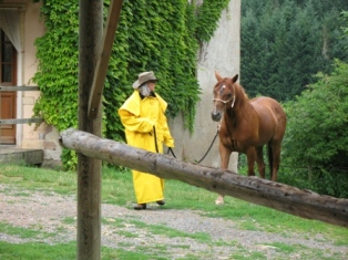 Photo de profil de brirey