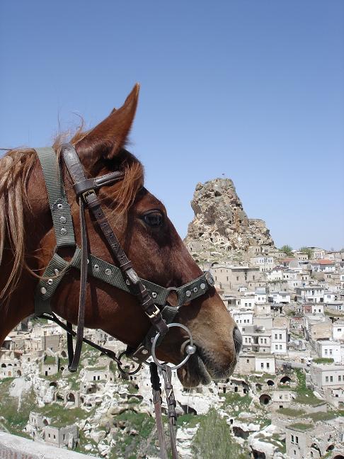 Photo de profil de cancan