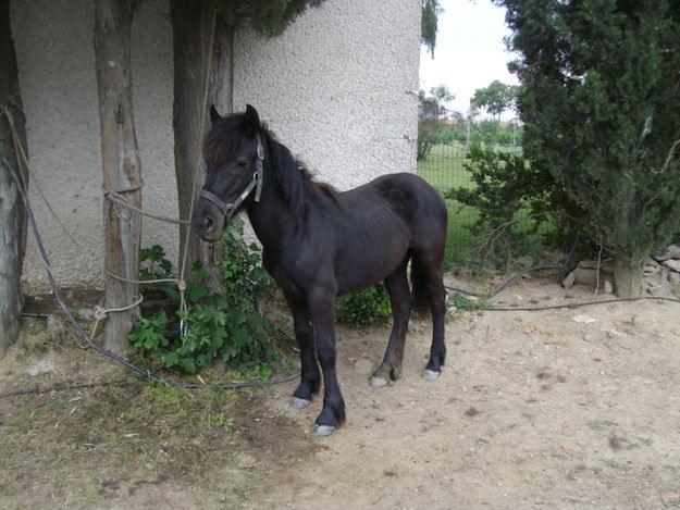 Photo de profil de cheyenne62