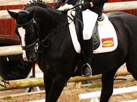 Photo de profil de chocoholic78
