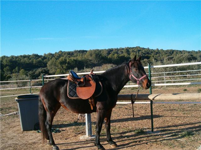 Photo de profil de clodine