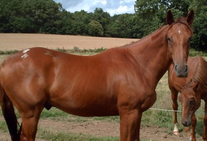 Photo de profil de cocoxie