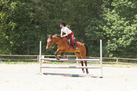 Photo de profil de colyne1505
