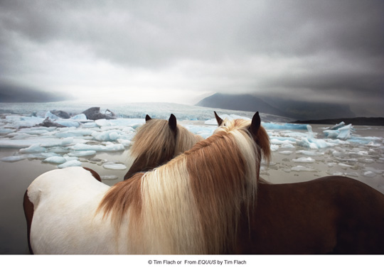 Photo de profil de docdecoster