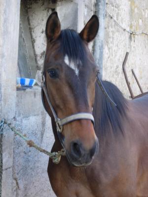 Photo de profil de dorinee
