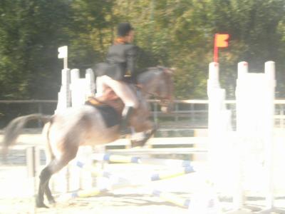 Photo de profil de elise38