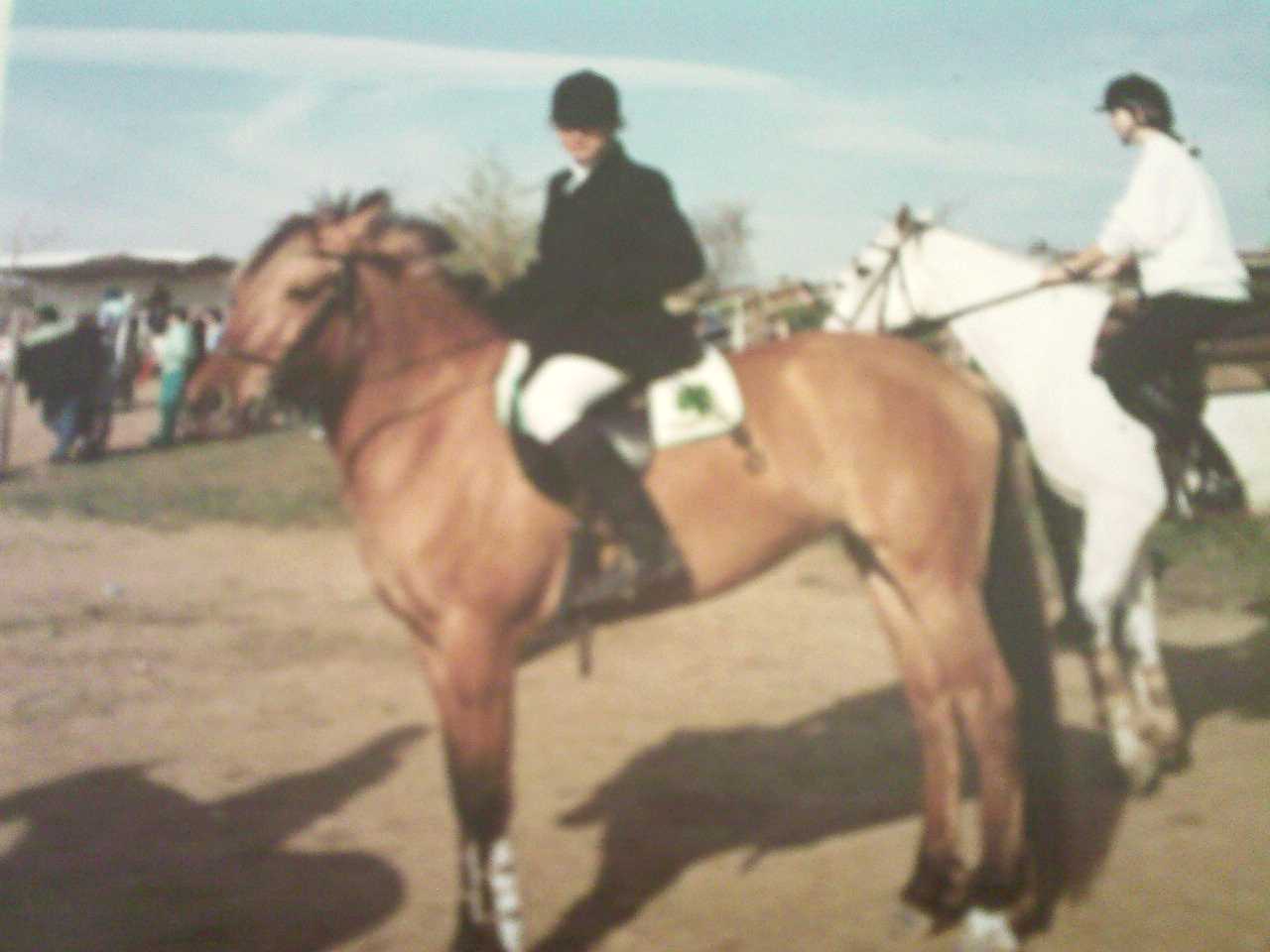 Photo de profil de elisou