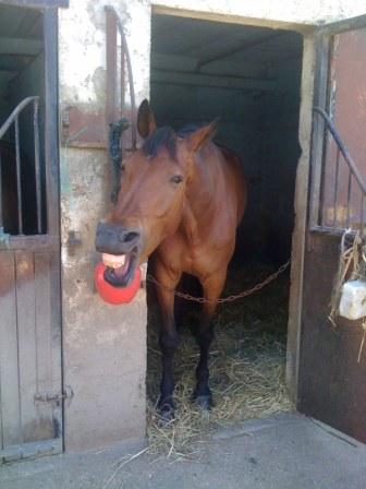 Photo de profil de elodats