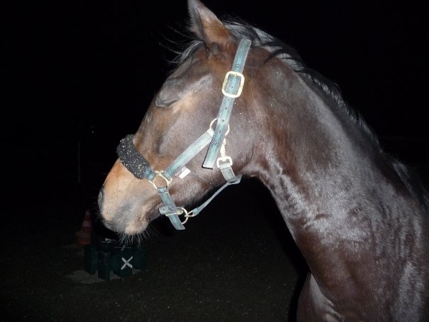 Photo de profil de emyetcrilisse