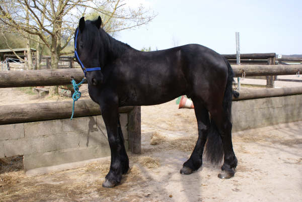 Photo de profil de fabian