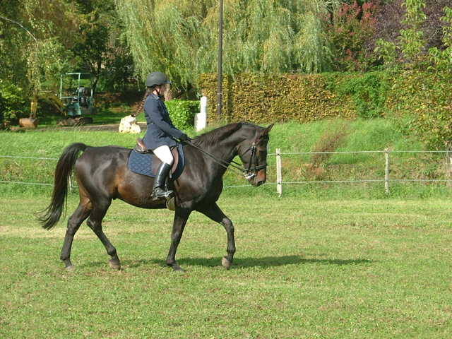 Photo de profil de fermegrandjean