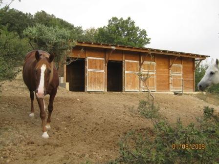 Photo de profil de flor