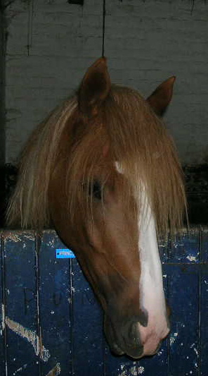 Photo de profil de flos16