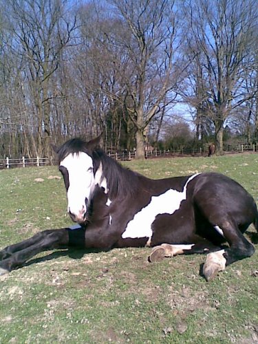 Photo de profil de formimars