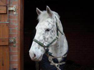 Photo de profil de funnytequila