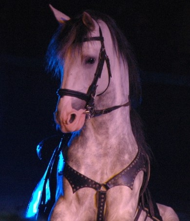 Photo de profil de grabou