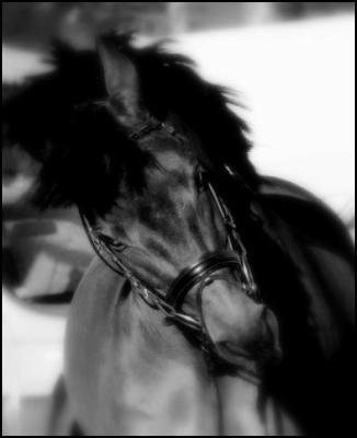 Photo de profil de gwenola-x33