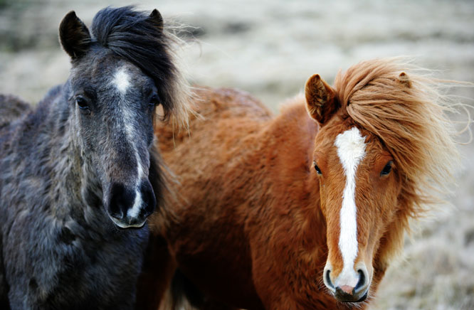 Photo de profil de happy-nolika