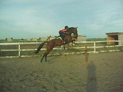 Photo de profil de happyimage