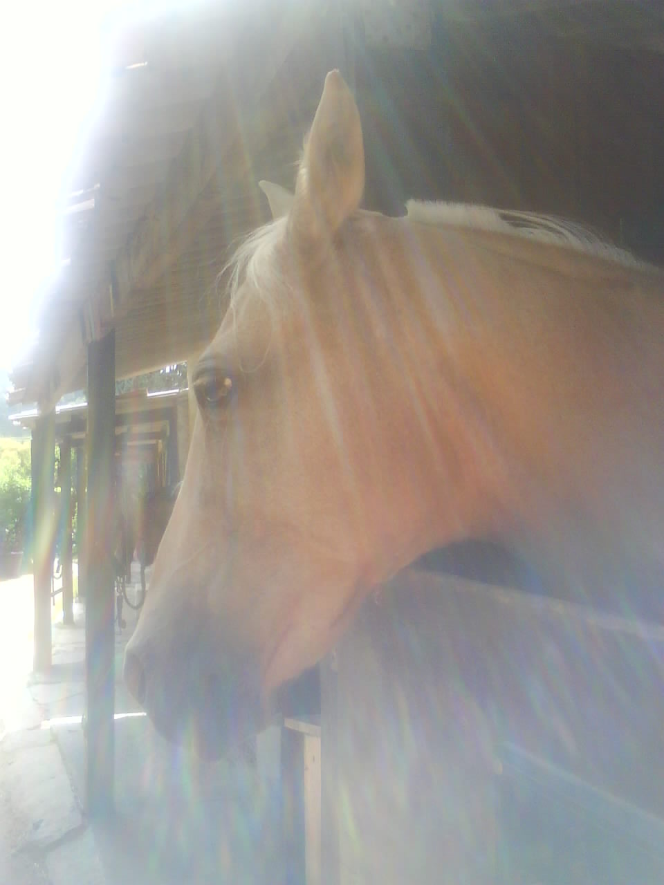 Photo de profil de herra