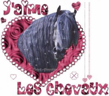 Photo de profil de ilovehorse63