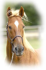 Photo de profil de jennitaz