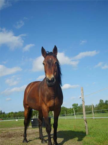 Photo de profil de jessiedu45700